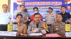 polda ntb berhasil gagalkan penyelundupan 17 160 benih lobster di lombok barat 48160