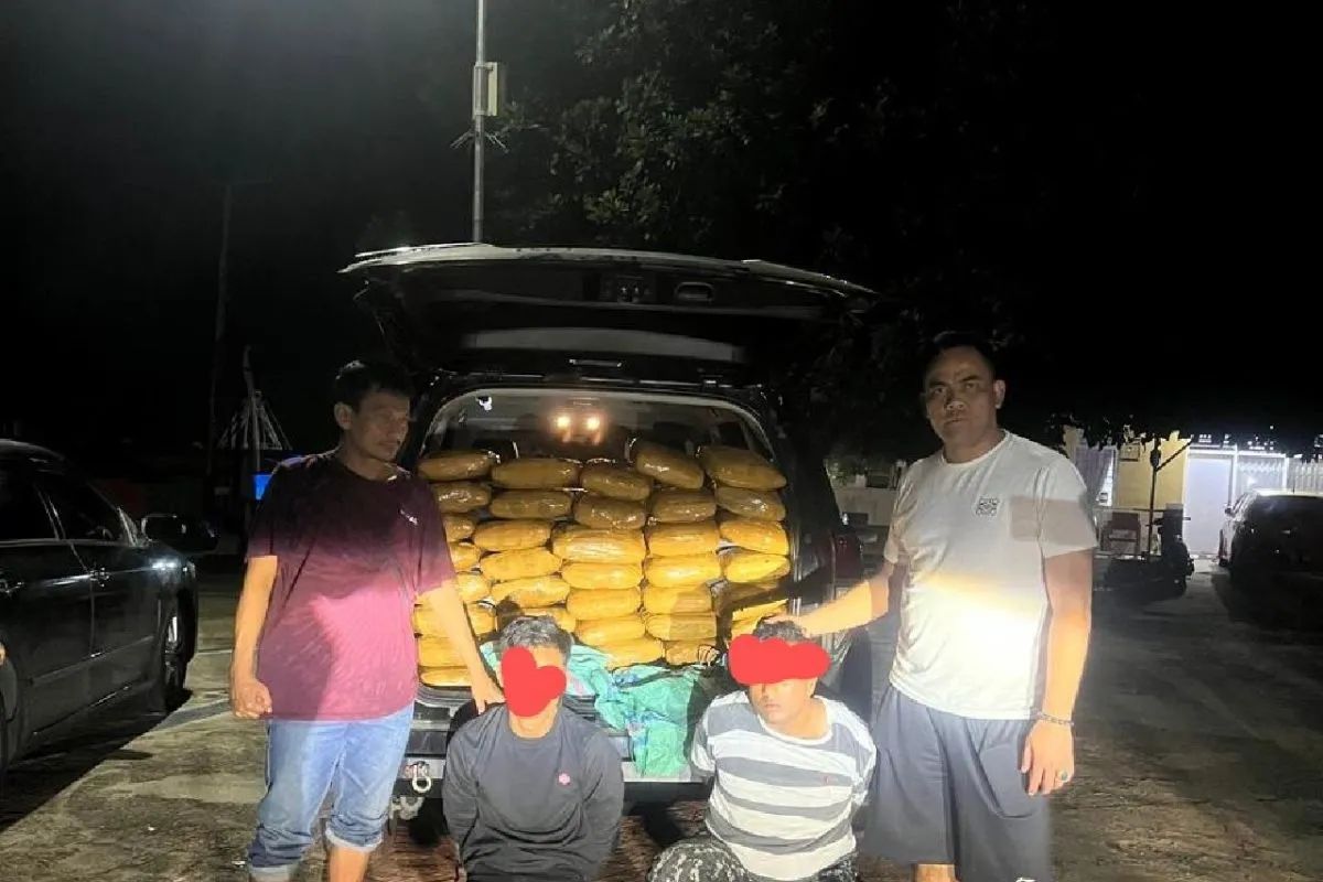 polda sumbar gagalkan peredaran 48 kg ganja 76099