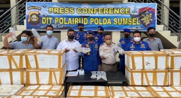 polda sumsel gagalkan penyelundupan benih lobster senilai rp 27 m 48549