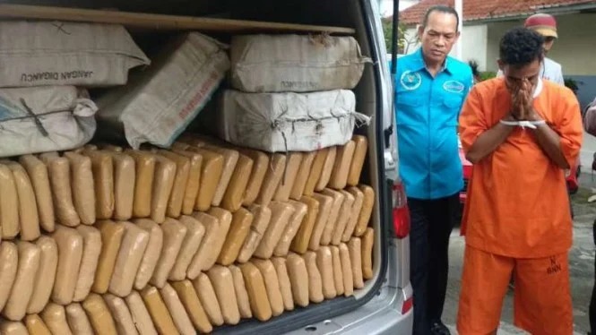 polda sumut gagalkan peredaran ganja 200 kg 51300