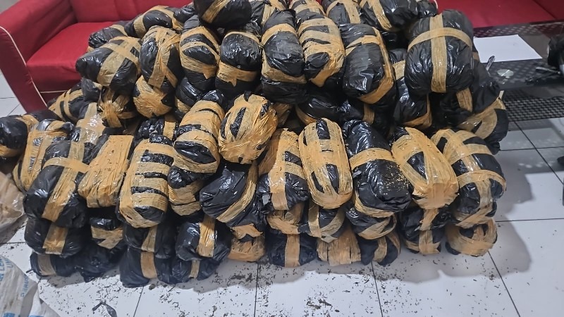 polisi berhasil amankan 300 kg ganja siap edar di nagan raya 73378