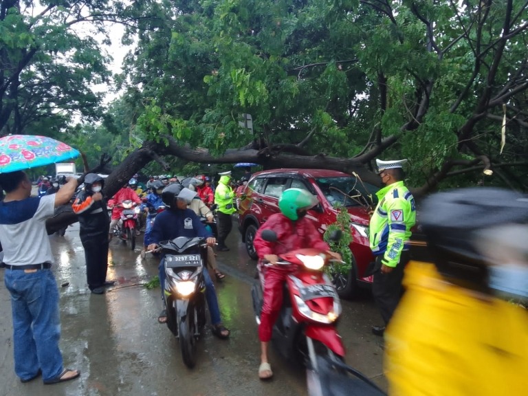 polisi evakuasi pohon tumbang yang mengalangi jalan di cengkareng 51593