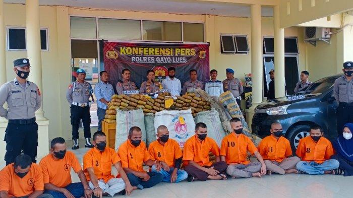polisi musnahkan 304 kg ganja amankan sindikat curanmor 49719