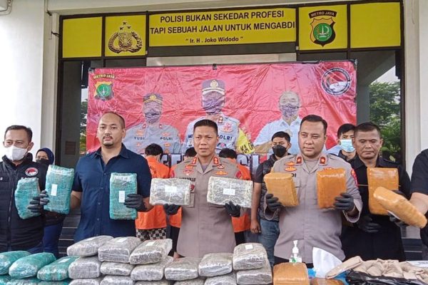 polres madina amankan kurir pembawa ganja 50940