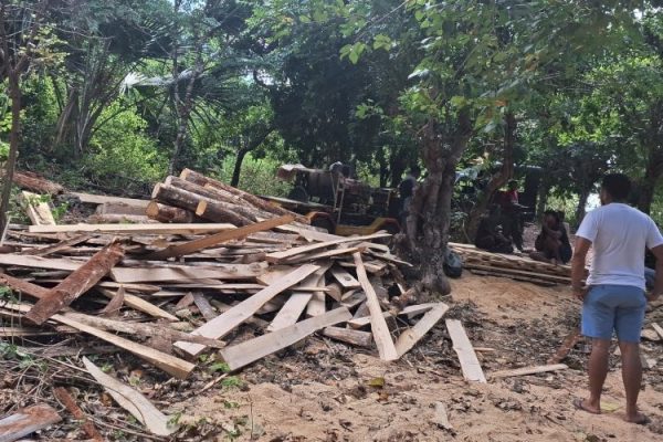 polres rote ndao berhasil ringkus tersangka dan barang bukti kasus illegal logging di hutan lindung oana 74432