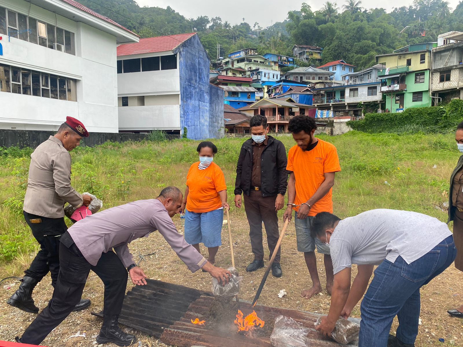 polresta jayapura kota musnahkan ganja seberat 9 kg lebih atas dua perkara narkoba 81499 1