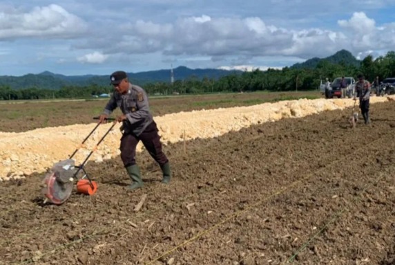 polri bentuk tim relawan budidaya jagung food estate di keerom 58471