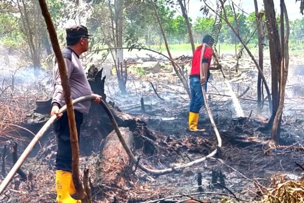 polri dan damkar berjibaku padamkan dua hektare lahan terbakar di sungai raya 54372