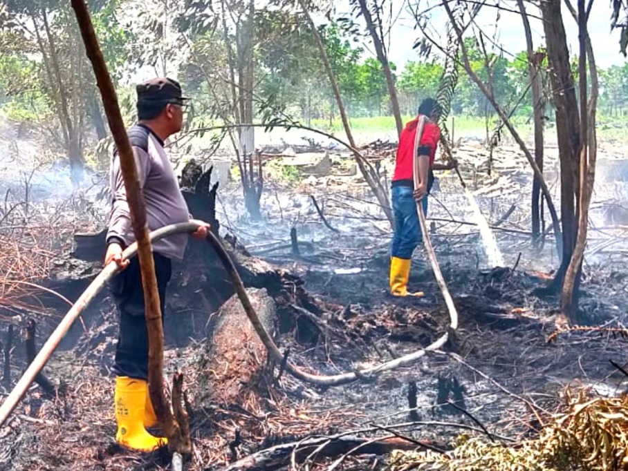 polri dan damkar berjibaku padamkan dua hektare lahan terbakar di sungai raya 54372