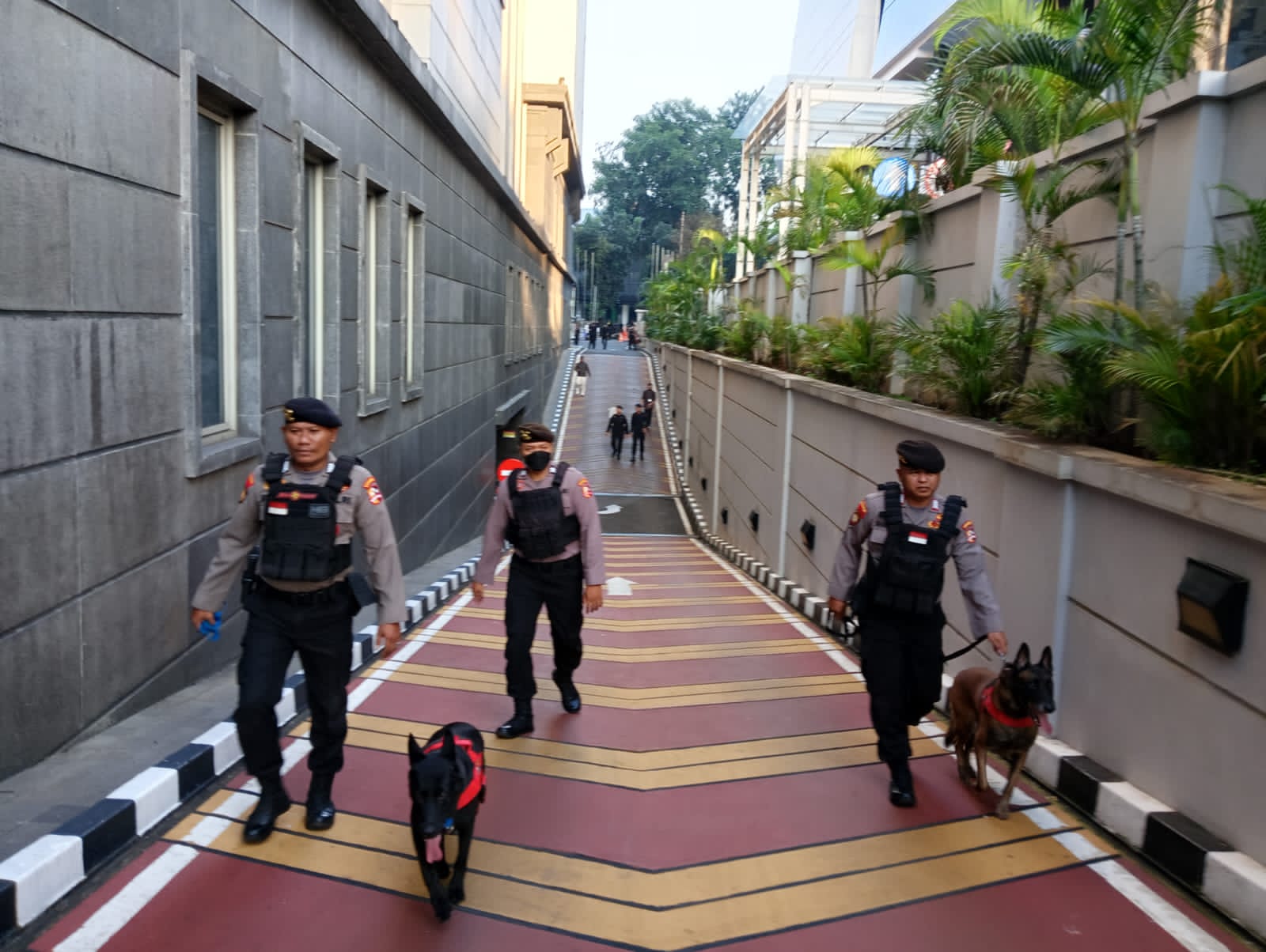 polri kerahkan anjing pelacak amankan sidang putusan phpu di mk 72926