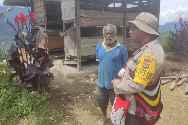 program kasuari binmas noken sambangi peternakan milik warga di intan jaya 49207