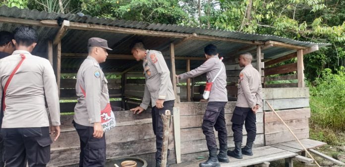 ringankan beban masyarakat binmas noken ops damai cartenz bagikan pakan ternak babi 51336 1