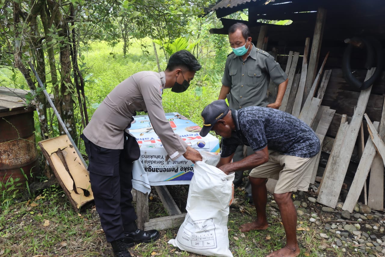 satgas binmas berikan bantuan pakan ternak babi kepada masyarakat di yahukimo 46219