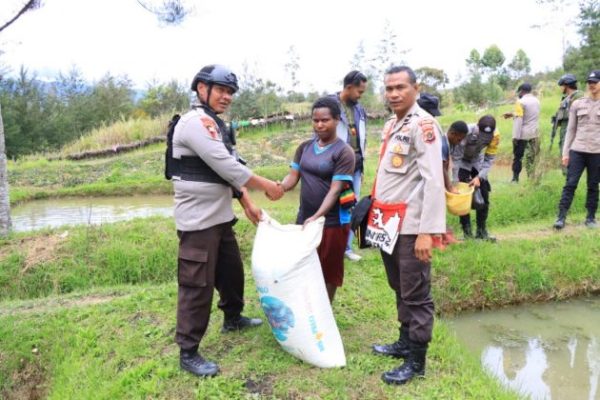 satgas damai cartenz berikan bantuan pakan ternak kepada masyarakat di puncak papua 50946