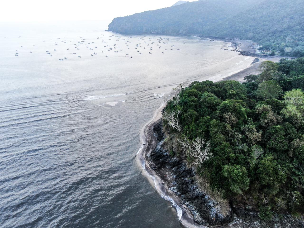 selain g land banyuwangi punya ombak rahasia di pantai grajagan 47271