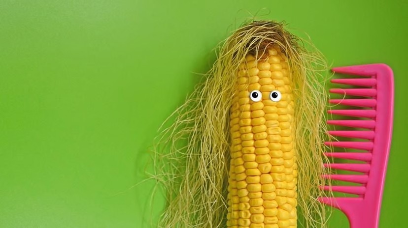 sering disepelehkan ini 5 khasiat dari rambut jagung bagi kesehatan tubuh 67015