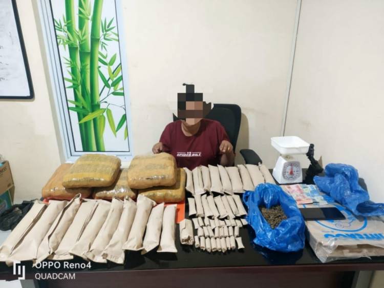 simpan 65 kg ganja wanita di kampar diciduk polisi 50032