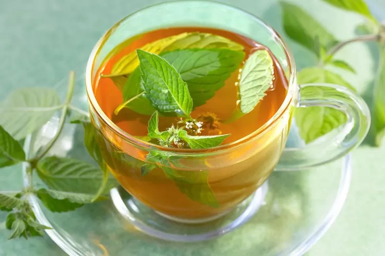 spearmint tea ini sederet khasiatnya bagi kesehatan tubuh 76901