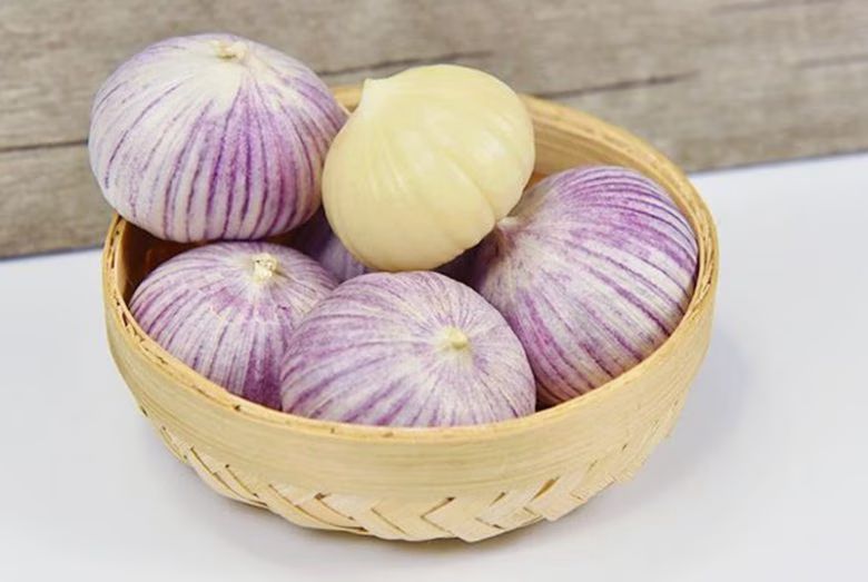 tak banyak yang tahu ini sederet khasiat bawang putih tunggal bagi kesehatan 68567