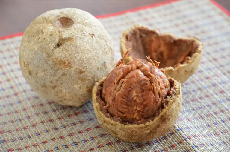 tak banyak yang tahu ini sederet khasiat buah kawista bagi kesehatan tubuh 65194