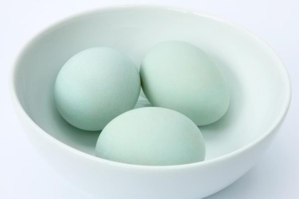 tak banyak yang tahu ini sederet khasiat telur bebek bagi kesehatan 72232