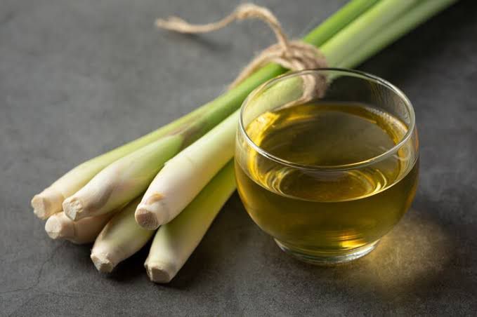 tak hanya aromanya yang segar ini sederet khasiat minyak sereh bagi tubuh 76899