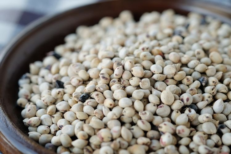 tak kalah baik dengan nasi ini 5 manfaat sorgum bagi kesehatan tubuh 70728