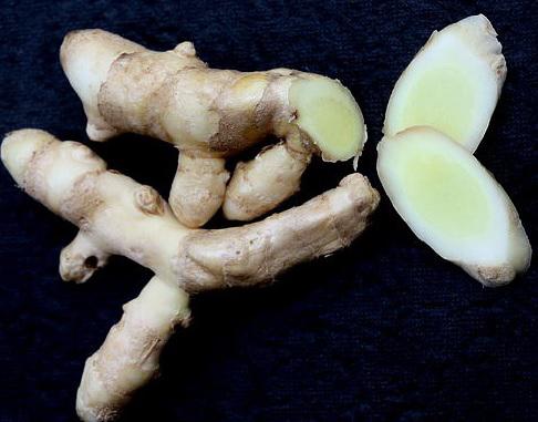 temu mangga herbal yang mengandung banyak manfaat 75148