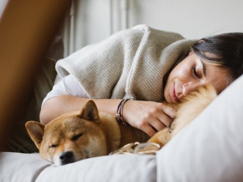 tidur bersama hewan peliharaan berbahaya kok bisa 79613
