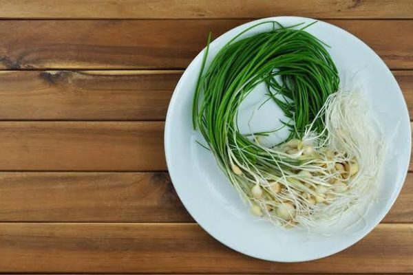 tingkatkan daya ingat hingga cegah resiko kanker ini sederet manfaat lokio 71479