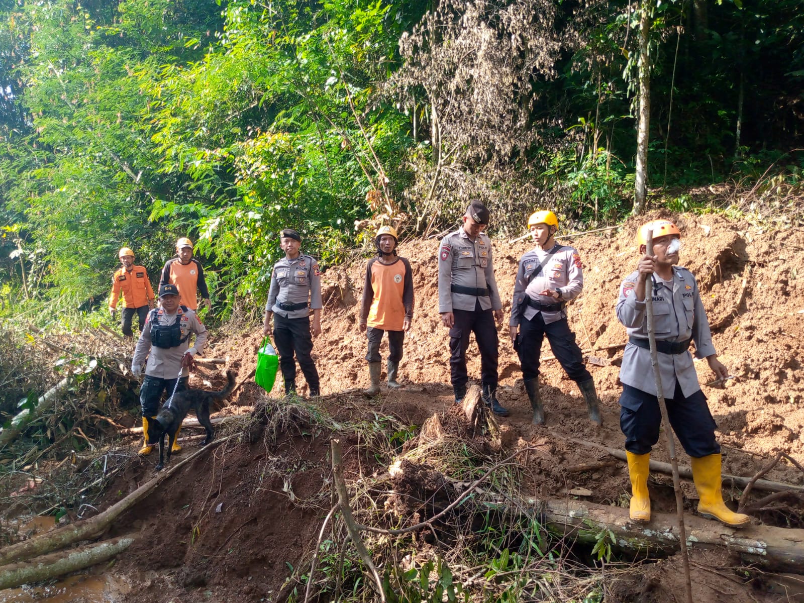 turunkan 12 personil dan 4 satwa k 9 polri cari korban hilang yang sempat bergantung di pohon 51938 1