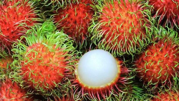 wajib tahu ini lima manfaat buah rambutan bagi kesehatan 57856