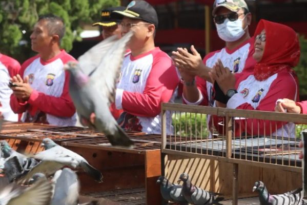 wakapolda kalteng buka festival lomba burung berkicau kapolda kalteng cup iv diikuti peserta se kalimantan dan jawa tengah 48484