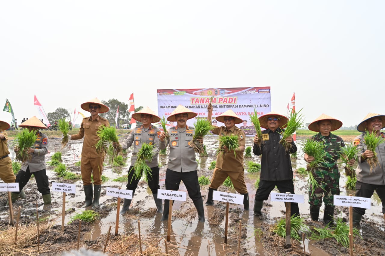 wakapolri panen dan tanam padi di desa penggalaman kalsel antisipasi el nino 64331