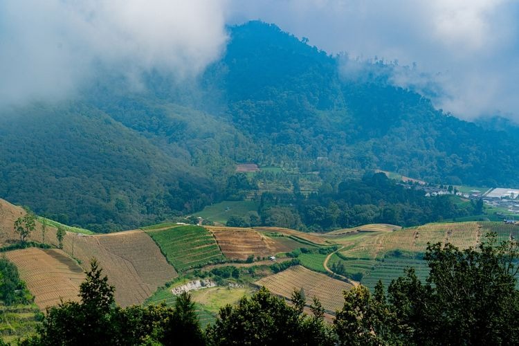 warga malang raya bersiap hadapi puncak suhu dingin mencapai 14 derajat celcius 61449