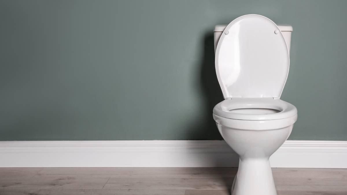 waspada ini bahayanya jika duduk di toilet lebih dari 10 menit 80952