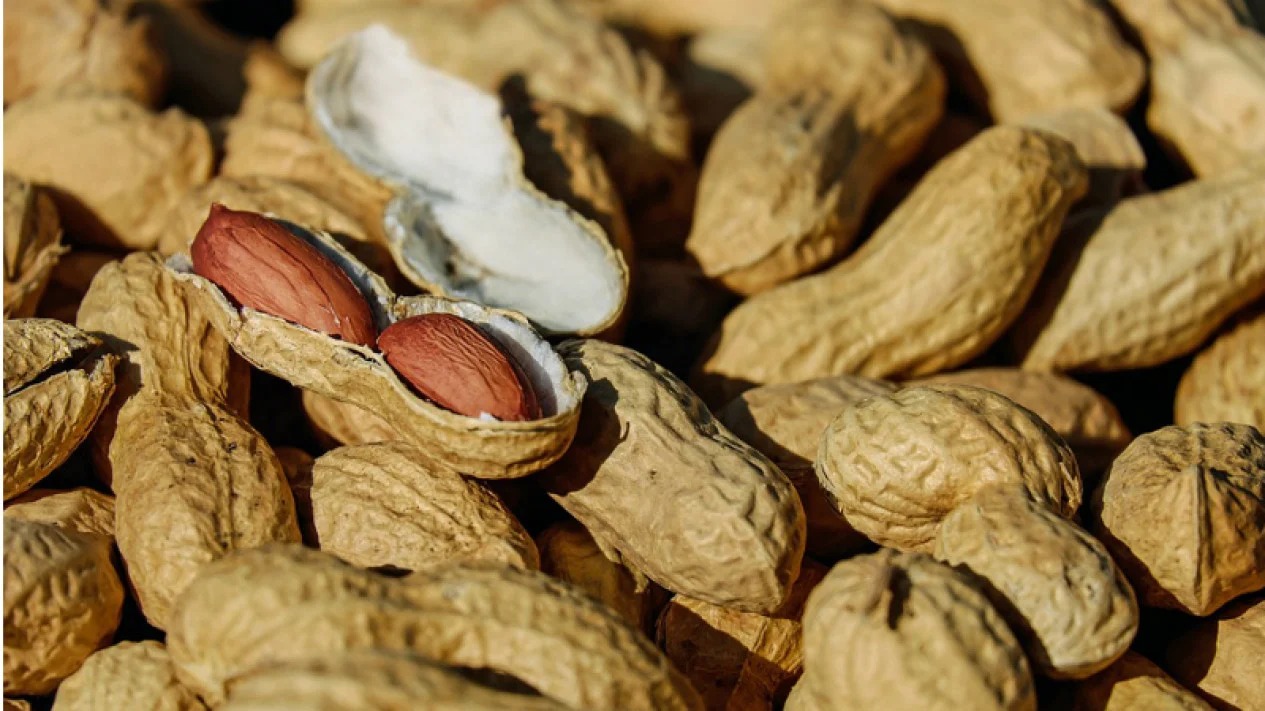waspada ini sederet makanan yang tak baik jika dikonsumsi sambil ngopi 66546