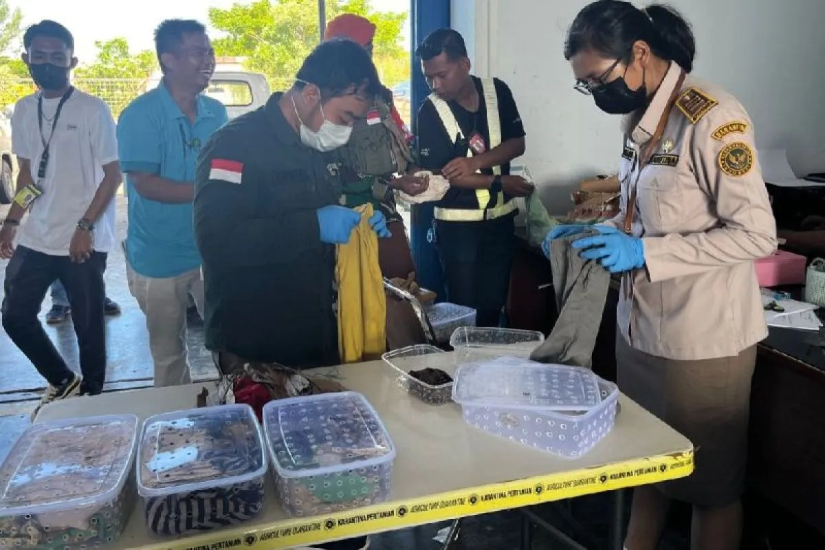 190 hewan reptil gagal diselundupkan ke jakarta 72891