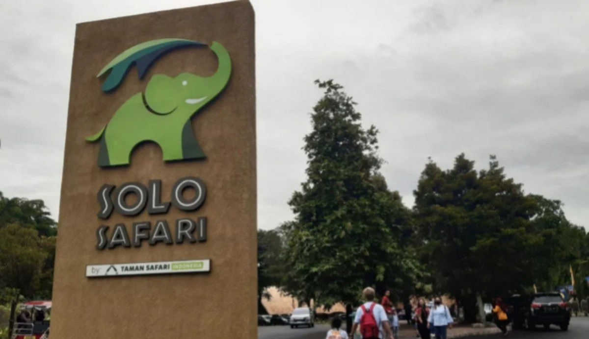 2 gajah koleksi solo safari mati akibat terjangkit infeksi hati 78347