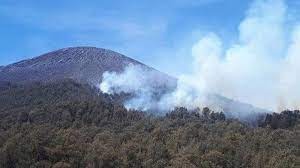 4 titik karhutla landa jalur pendakian gunung semeru berhasil di padamkan 64867
