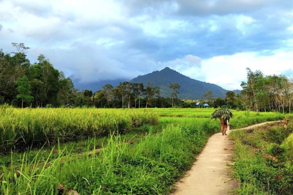 Desa Wisata 1024x683 1