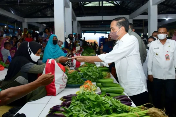 Hari Kedua di Provinsi Maluku Presiden Akan Bagikan Bansos hingga Bertemu Peternak Kerbau 1024x682 1