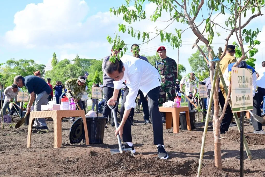 Lestarikan Tanaman Endemik NTT Presiden Jokowi Tanam Pohon Cendana 1024x683 1