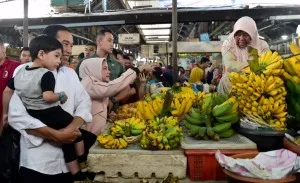 MEMBELI PISANG 300x183 1