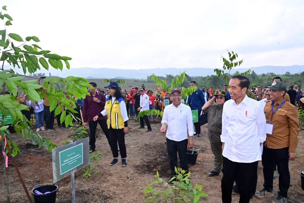 Mulai Penghijauan IKN Presiden Untuk Bangun Hutan Hujan Tropis Yang Beragam 1024x683 1