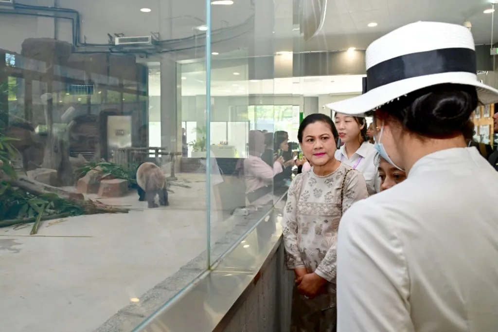 Pagi Hari di Chengdu Ibu Iriana Tinjau Pusat Pembiakan Panda 1024x682 1
