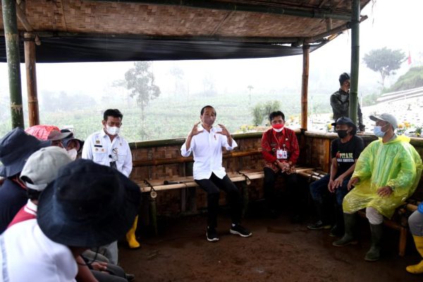 Petani Wonosobo