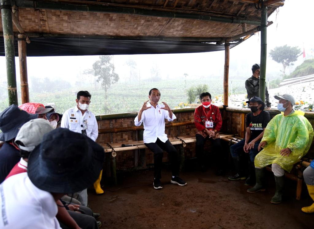 Petani Wonosobo