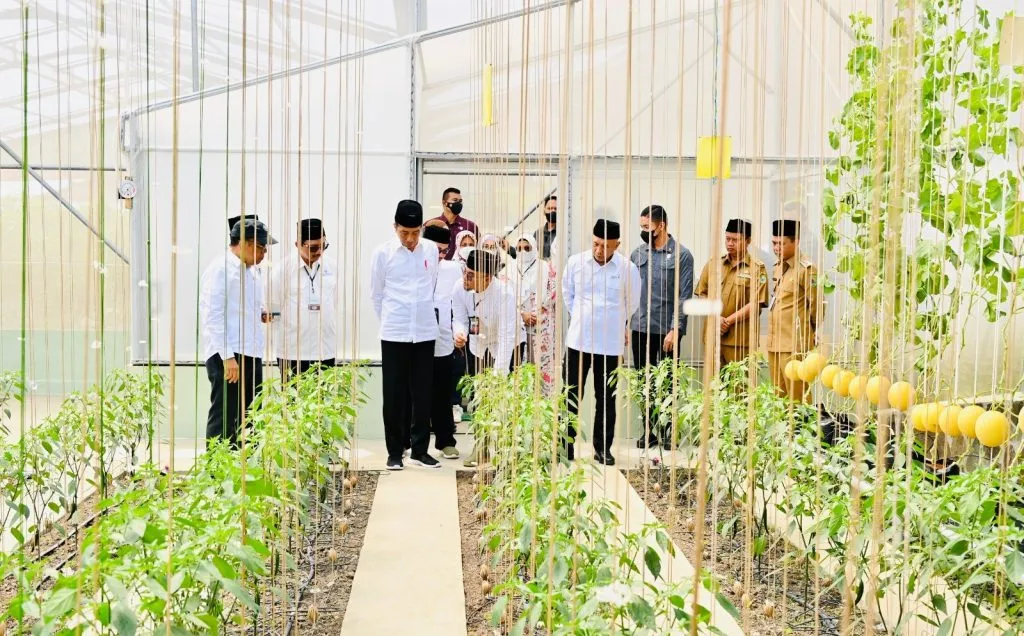 Presiden Apresiasi Model Bisnis Pertanian di Ponpes Al Ittifaq 1 1024x636 1