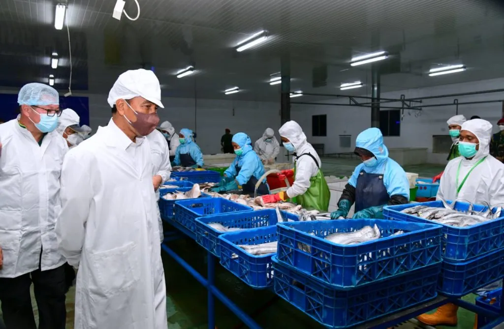 Presiden Jokowi Tinjau Unit Pengolahan Ikan dan Budidaya Rumput Laut di Provinsi Maluku 1024x669 1